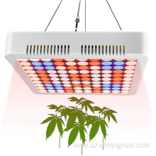 Full spectrum led grow light panel 600W